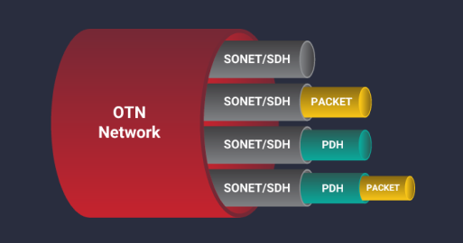 OTN ネットワーク